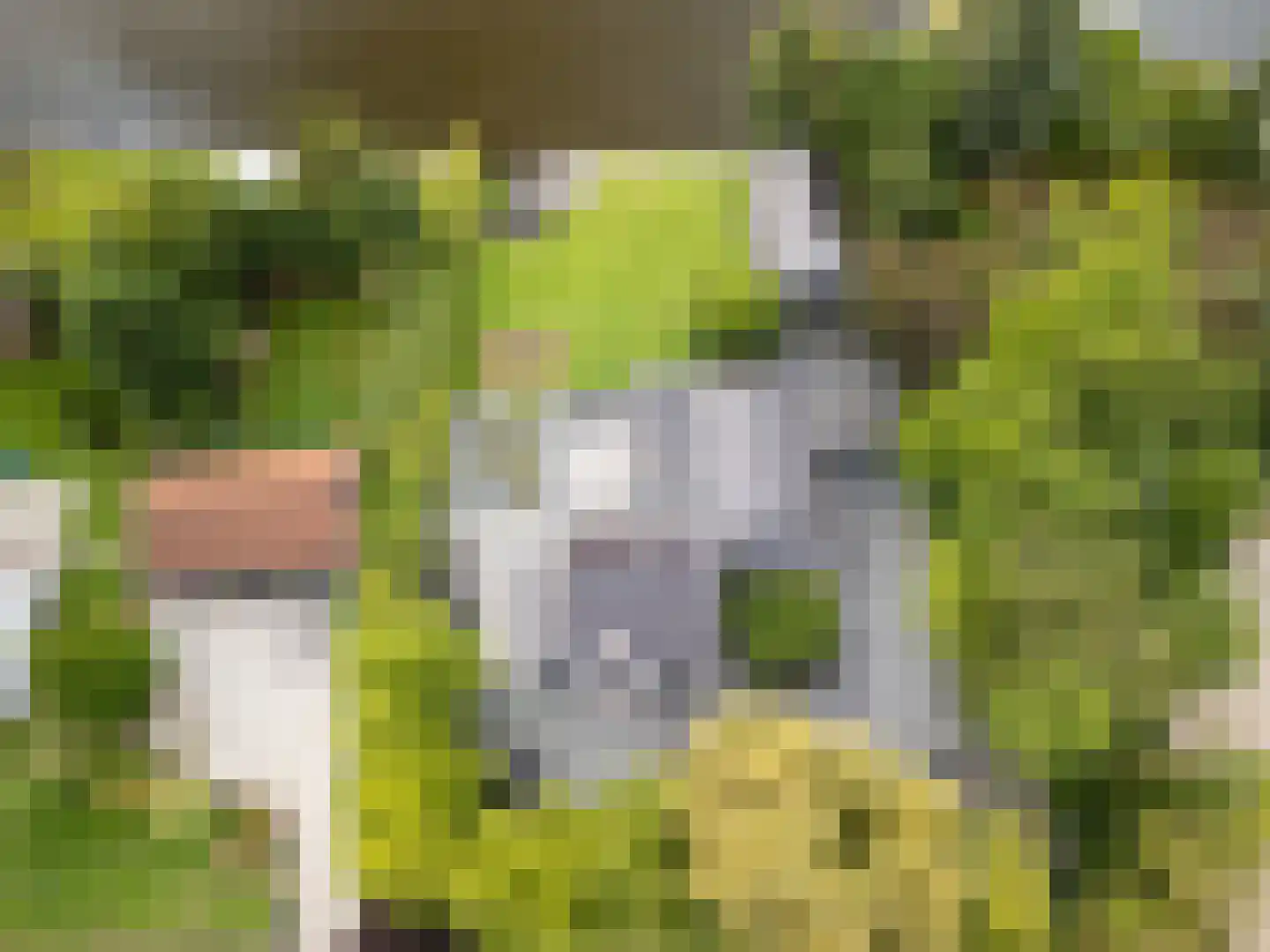 Oude Rhijnhofweg 8 Oegstgeest thumbnail 92