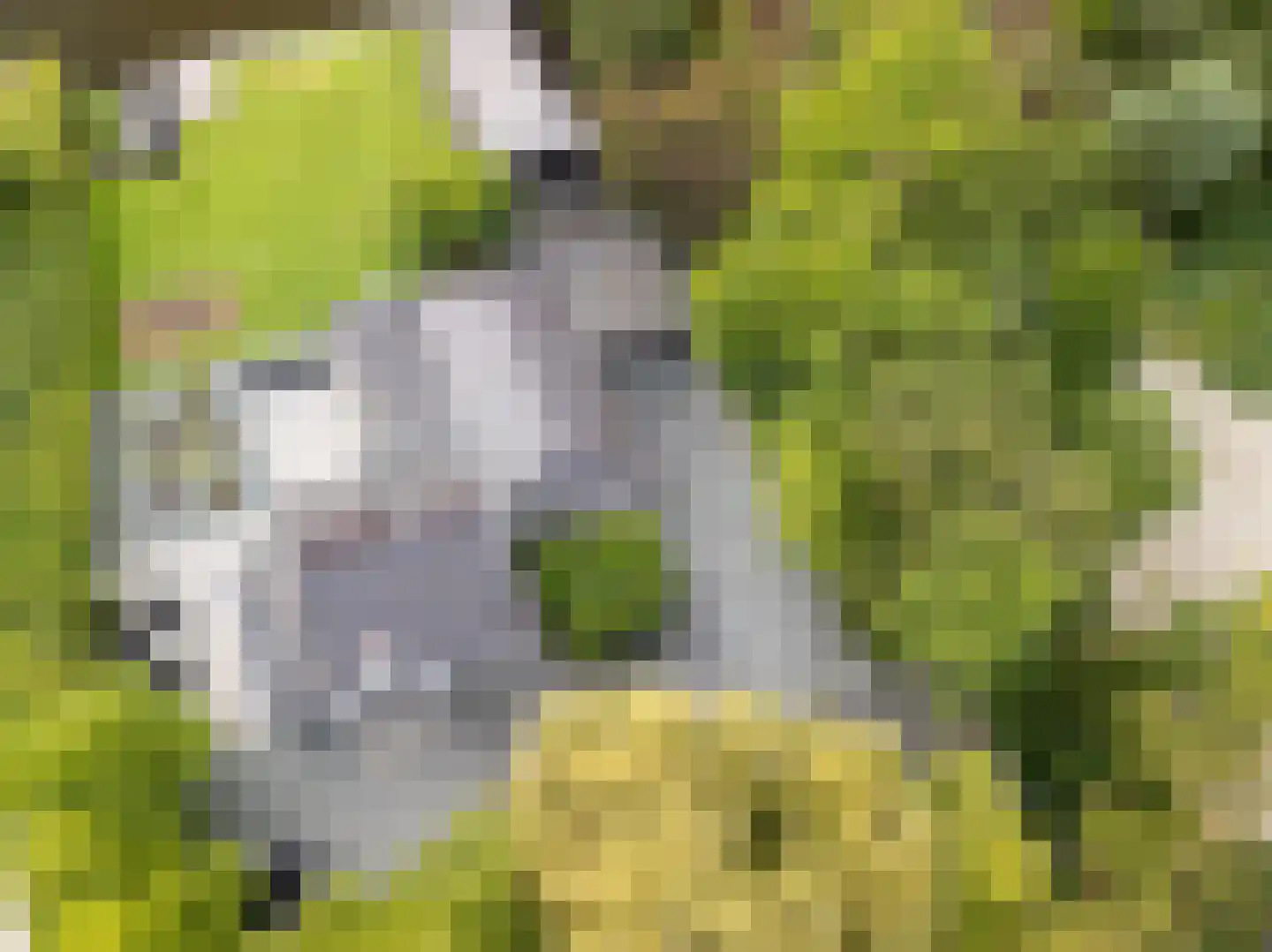 Oude Rhijnhofweg 8 Oegstgeest thumbnail 93