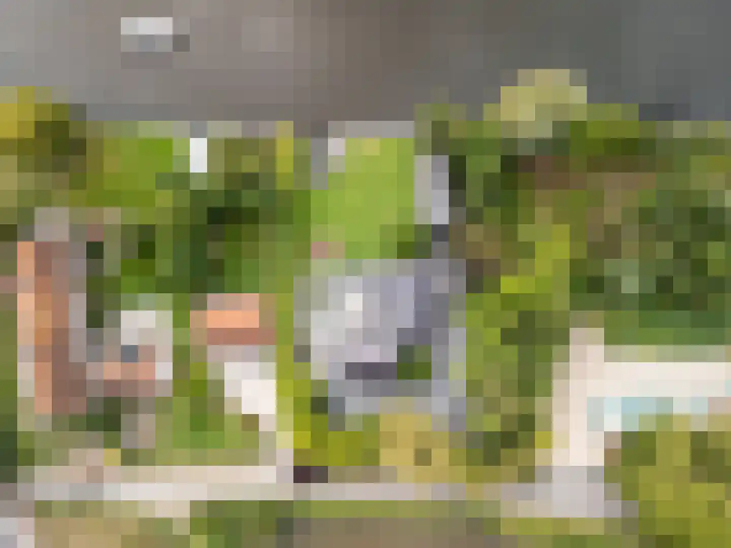 Oude Rhijnhofweg 8 Oegstgeest thumbnail 94