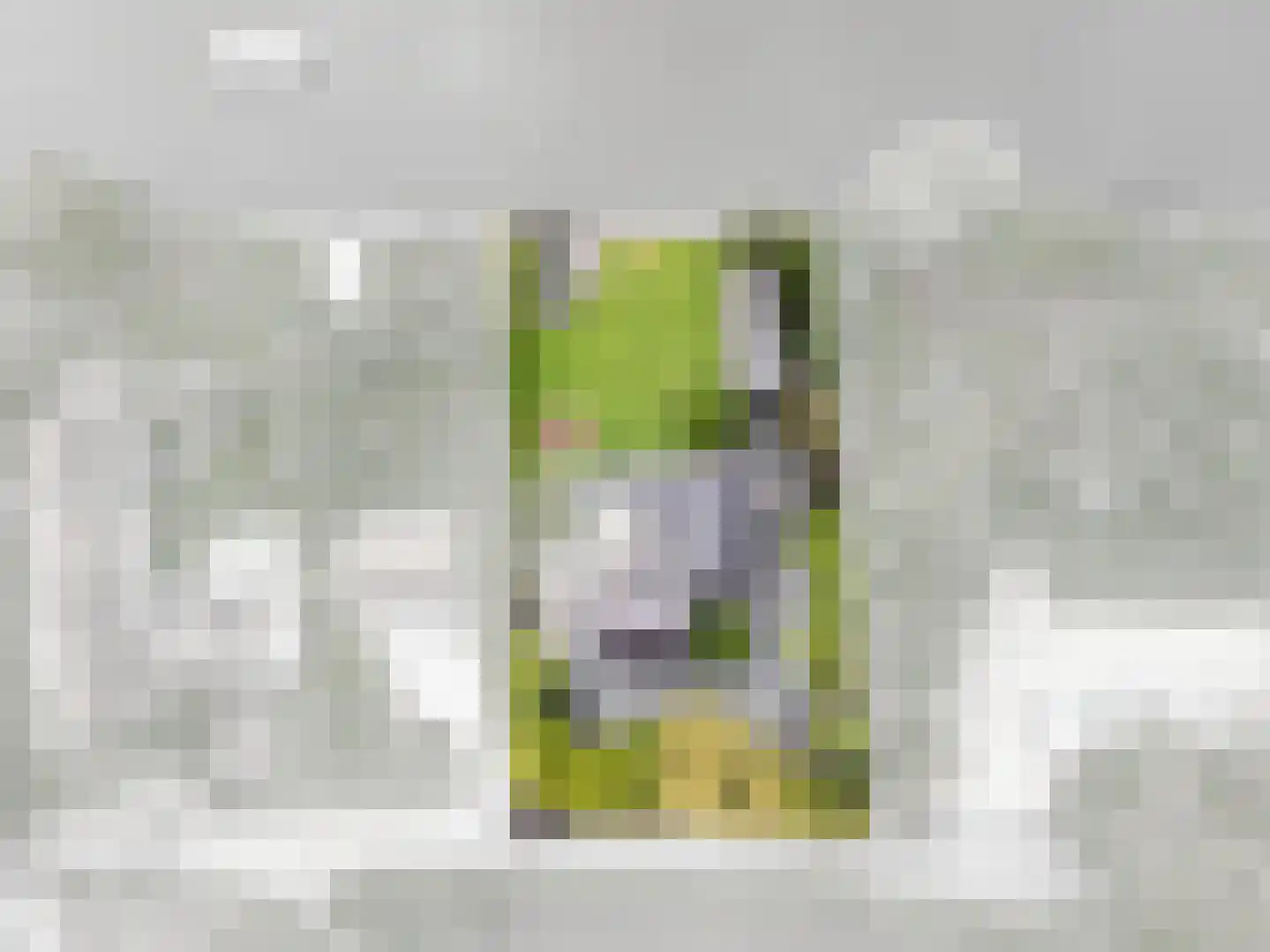 Oude Rhijnhofweg 8 Oegstgeest thumbnail 96