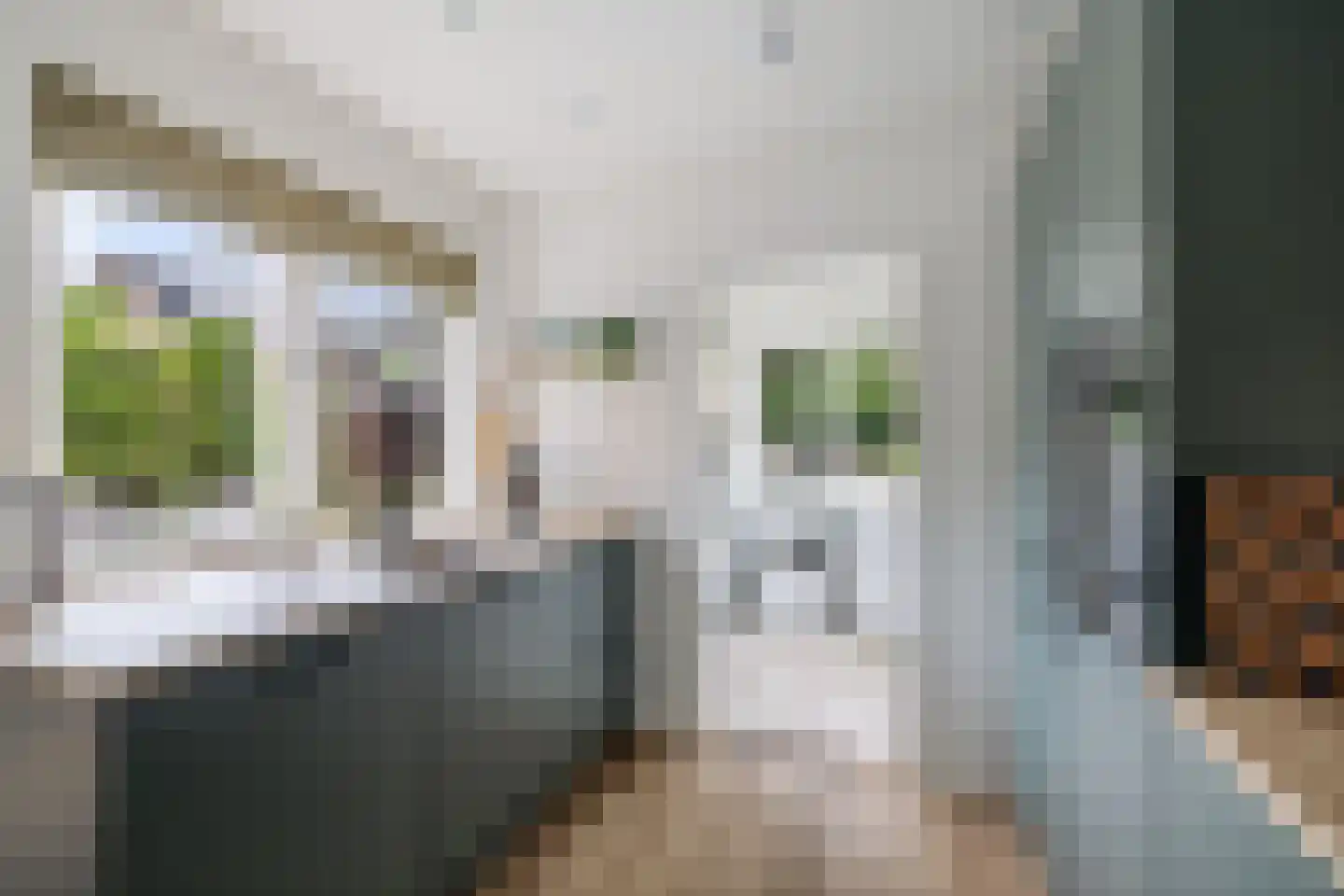 Oude Rielerweg 3 Schalkhaar thumbnail 14