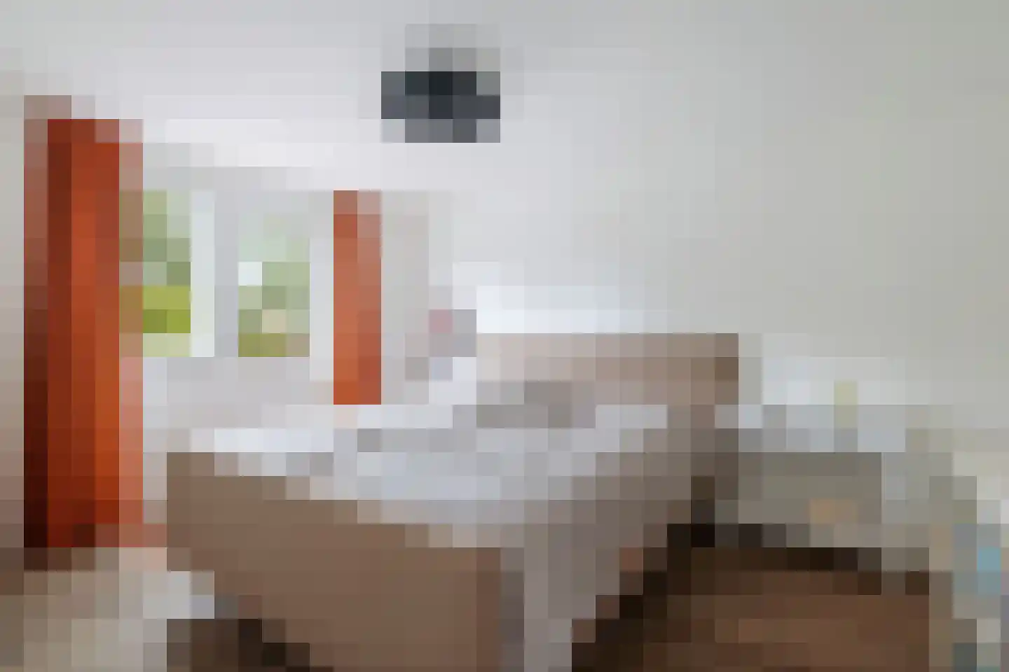 Oude Rielerweg 3 Schalkhaar thumbnail 20