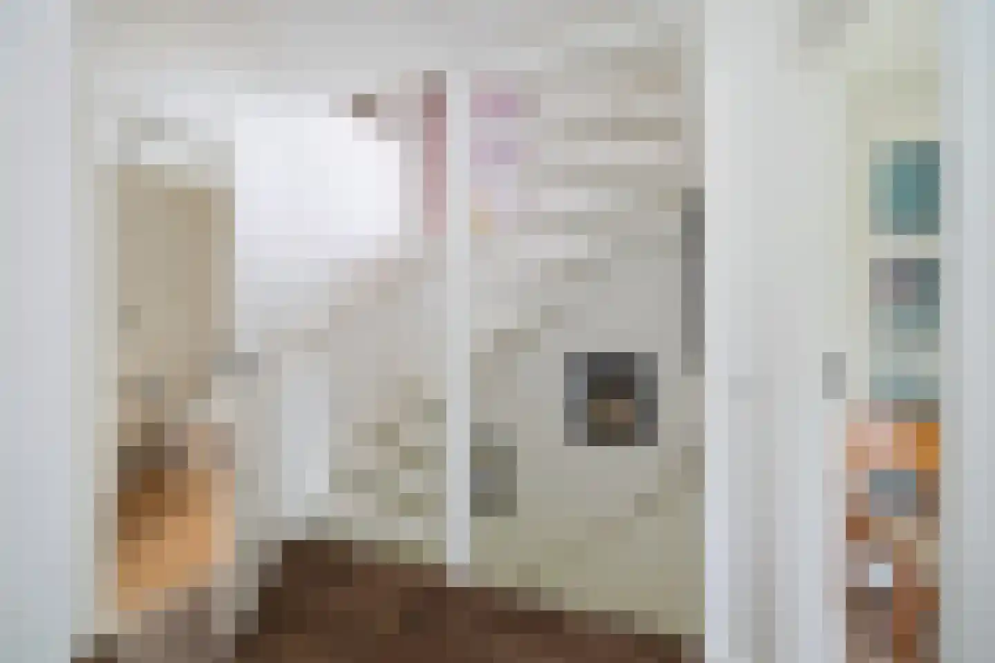 Oude Rielerweg 3 Schalkhaar thumbnail 25