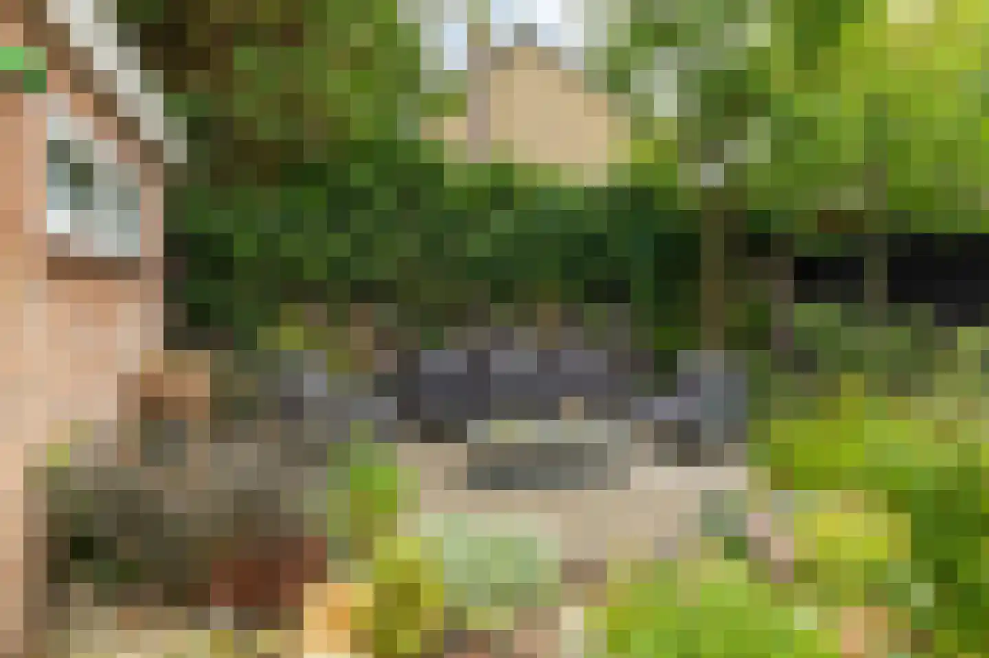 Oude Rielerweg 3 Schalkhaar thumbnail 29