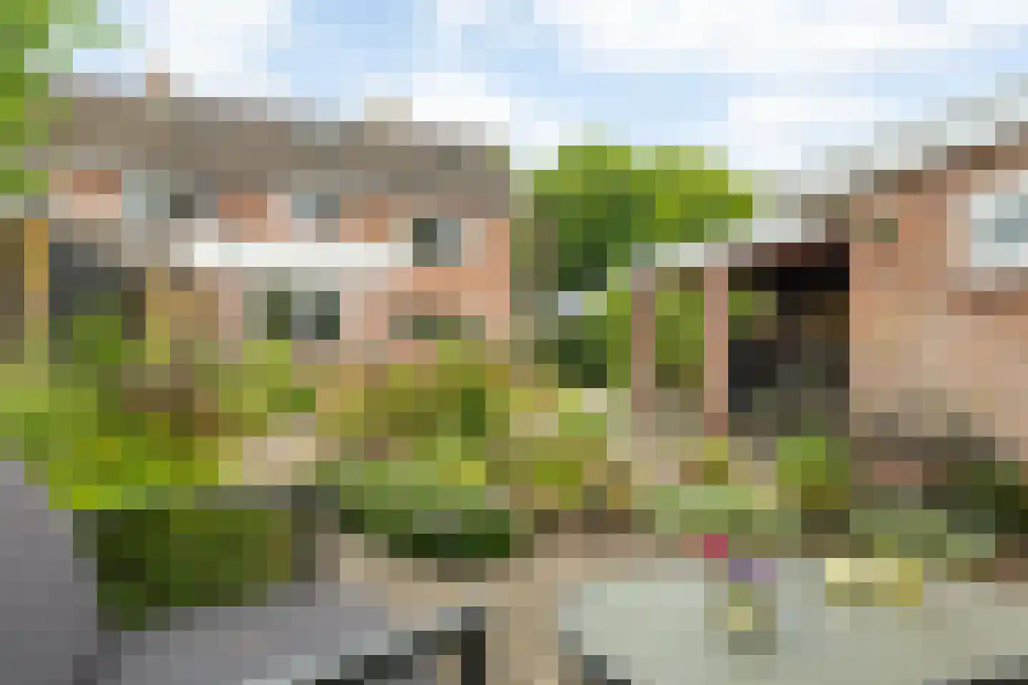 Oude Rielerweg 3 Schalkhaar thumbnail 30