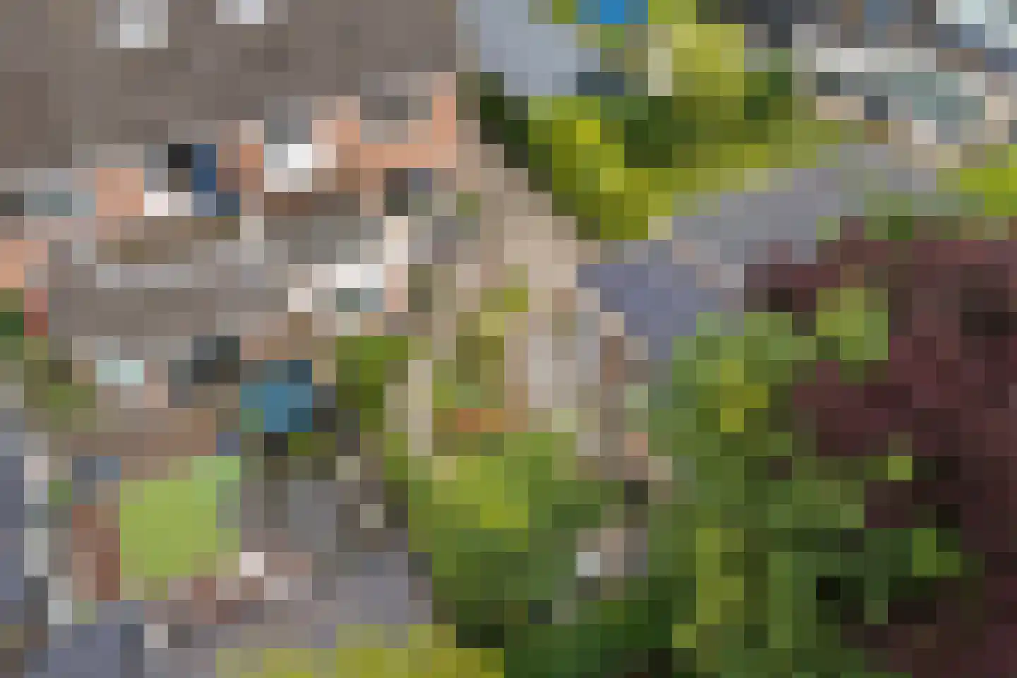 Oude Rielerweg 3 Schalkhaar thumbnail 32