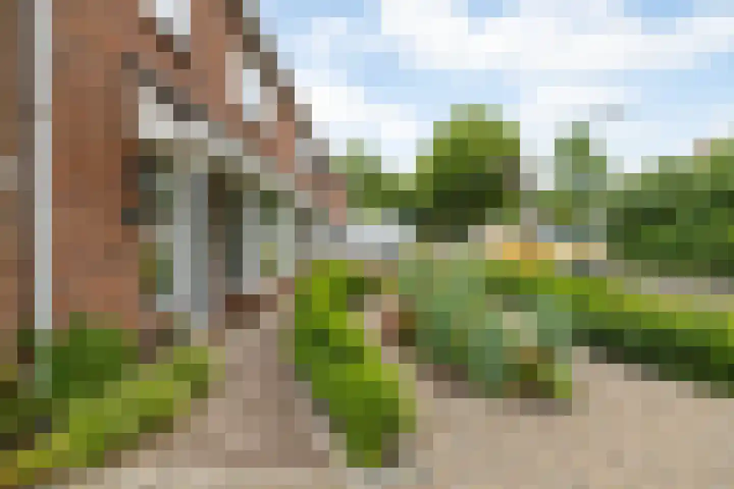 Oude Rielerweg 3 Schalkhaar thumbnail 35