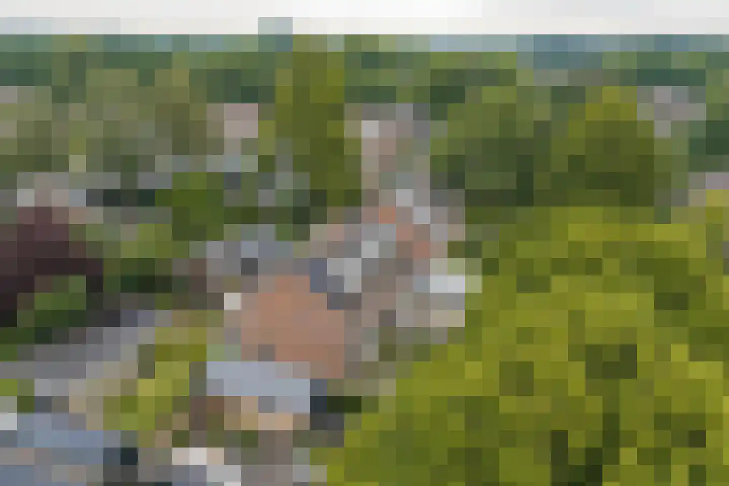 Oude Rielerweg 3 Schalkhaar thumbnail 36