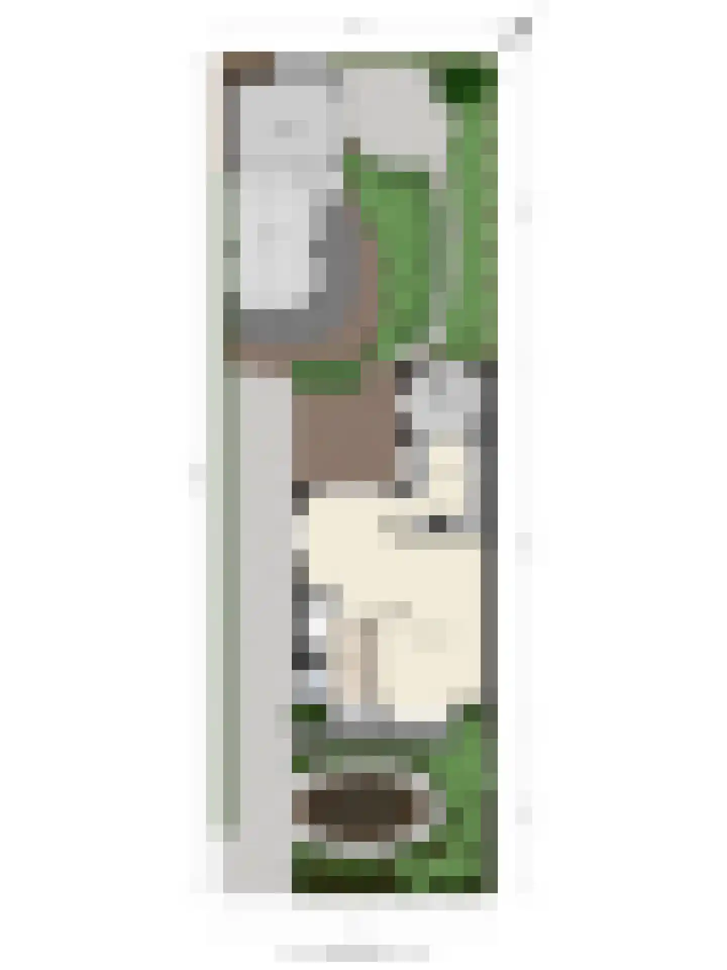 Oude Rielerweg 3 Schalkhaar thumbnail 38