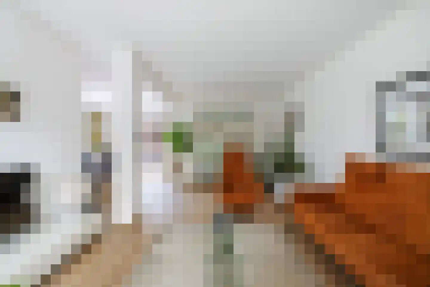 Oude Rielerweg 3 Schalkhaar thumbnail 4