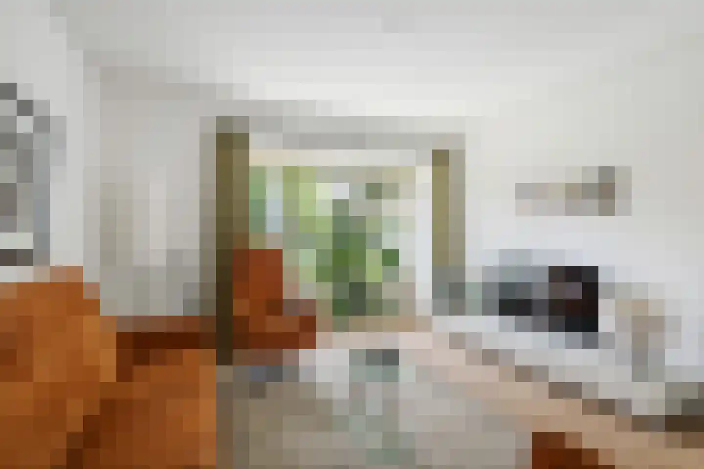 Oude Rielerweg 3 Schalkhaar thumbnail 5