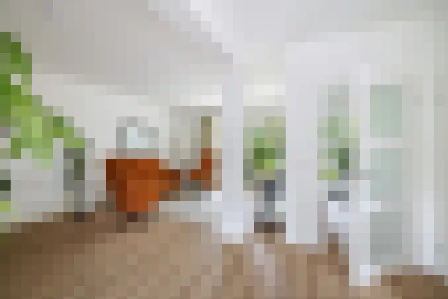 Oude Rielerweg 3 Schalkhaar thumbnail 6
