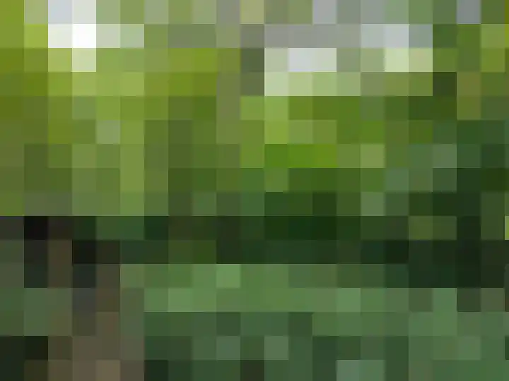 Oude Rielsebaan 187 Tilburg thumbnail 10