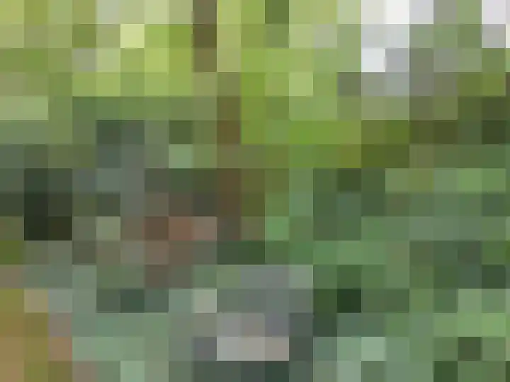 Oude Rielsebaan 187 Tilburg thumbnail 13
