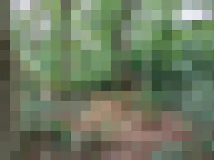 Oude Rielsebaan 187 Tilburg thumbnail 14