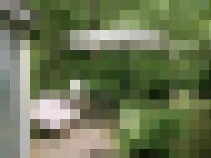 Oude Rielsebaan 187 Tilburg thumbnail 4