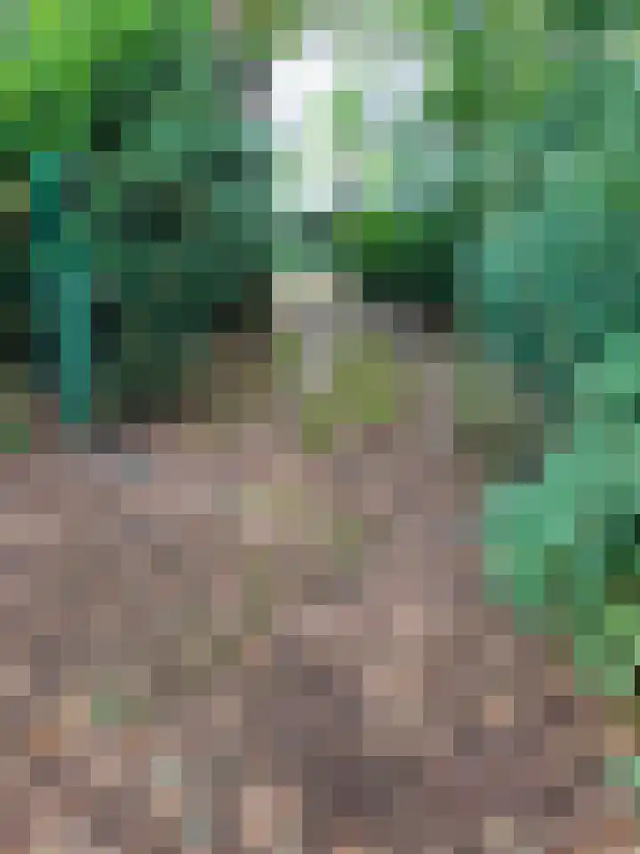 Oude Rielsebaan 187 Tilburg thumbnail 6