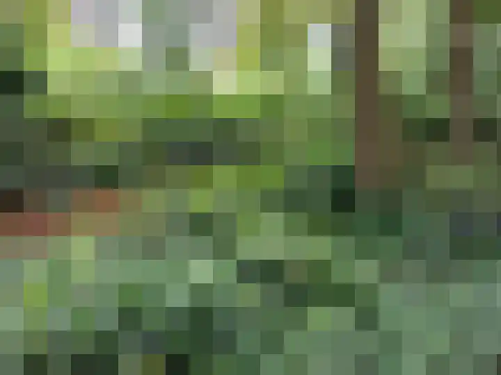 Oude Rielsebaan 187 Tilburg thumbnail 7