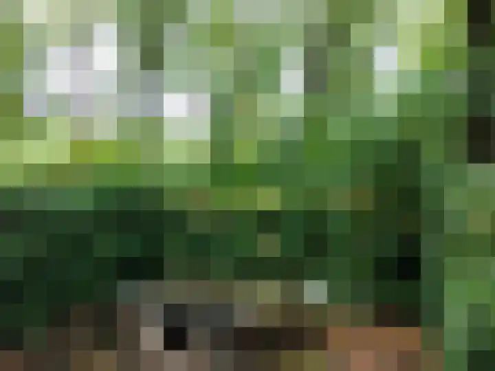 Oude Rielsebaan 187 Tilburg thumbnail 9
