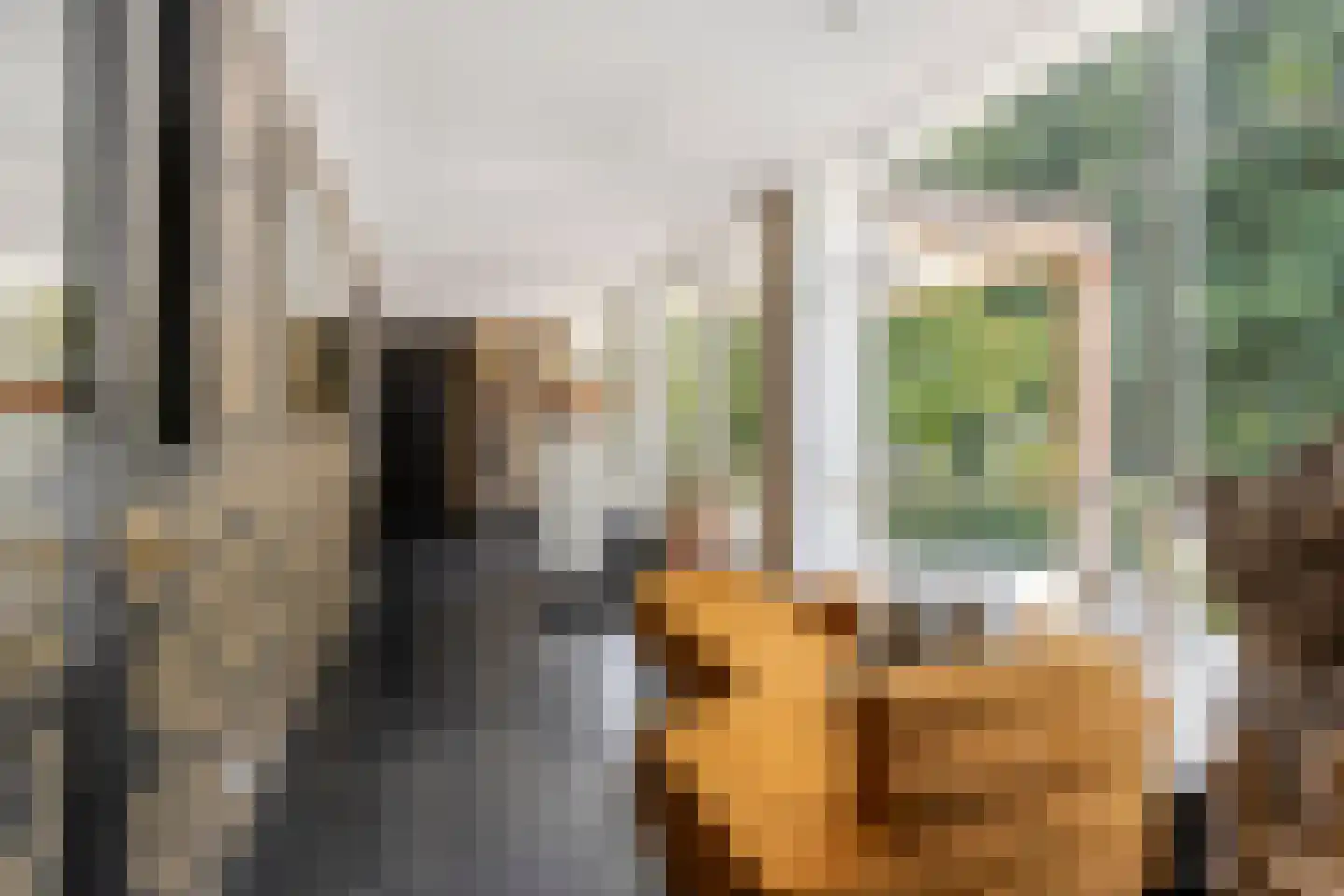 Oude Rielseweg 1 Tilburg thumbnail 15