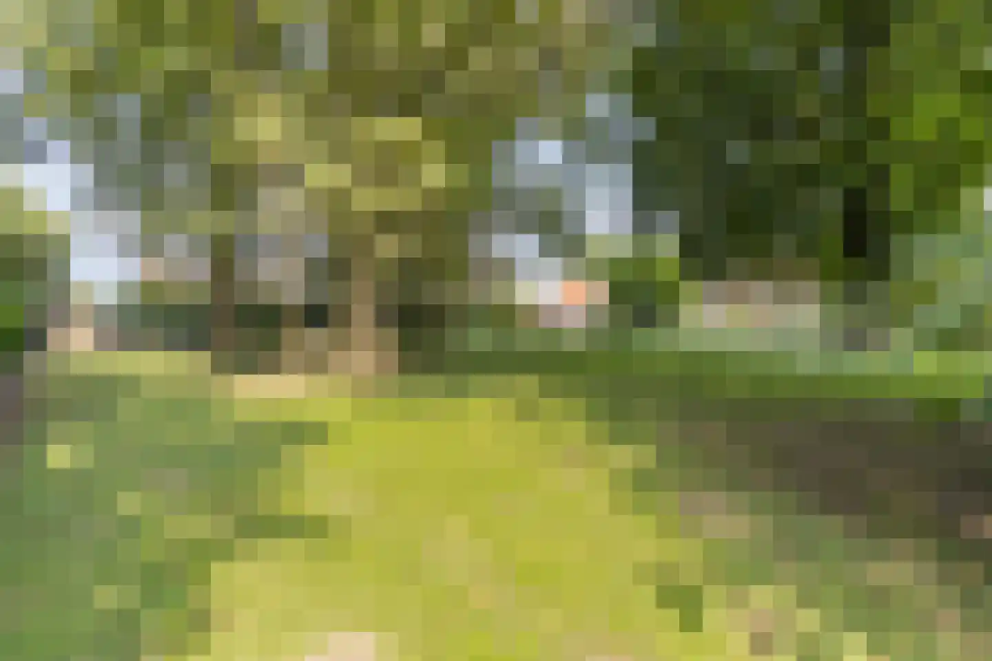 Oude Rielseweg 1 Tilburg thumbnail 4