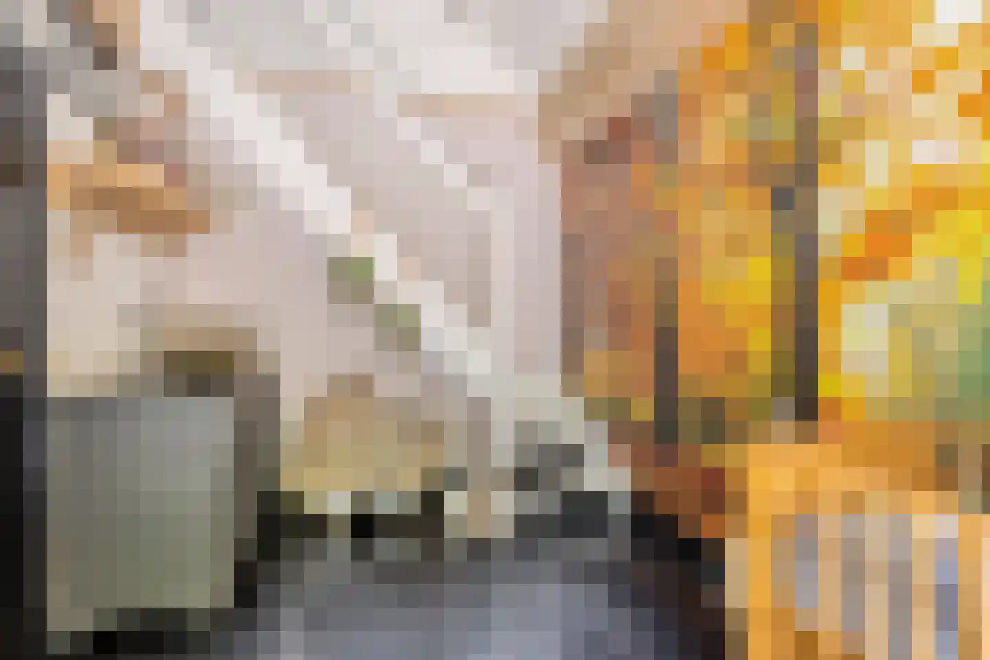 Oude Rielseweg 1 Tilburg thumbnail 43