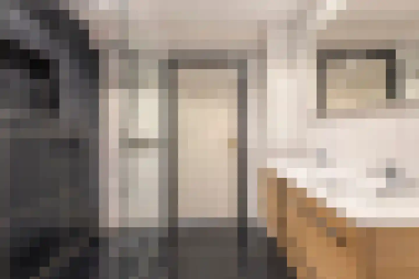 Oude Rielseweg 1 Tilburg thumbnail 47