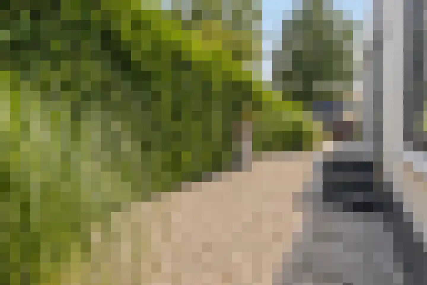 Oude Rielseweg 1 Tilburg thumbnail 64