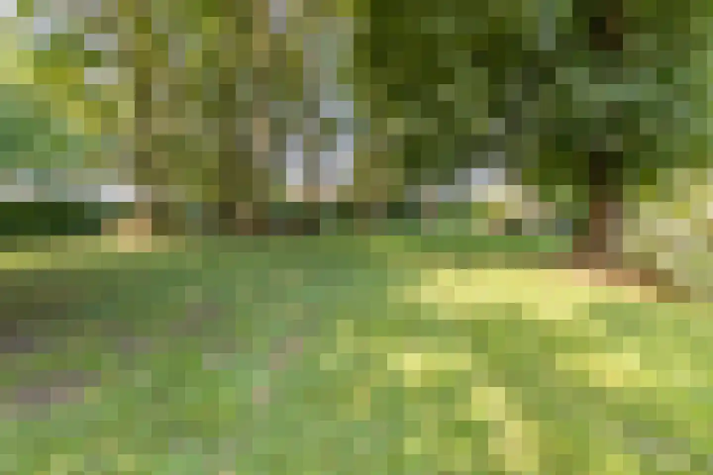 Oude Rielseweg 1 Tilburg thumbnail 69
