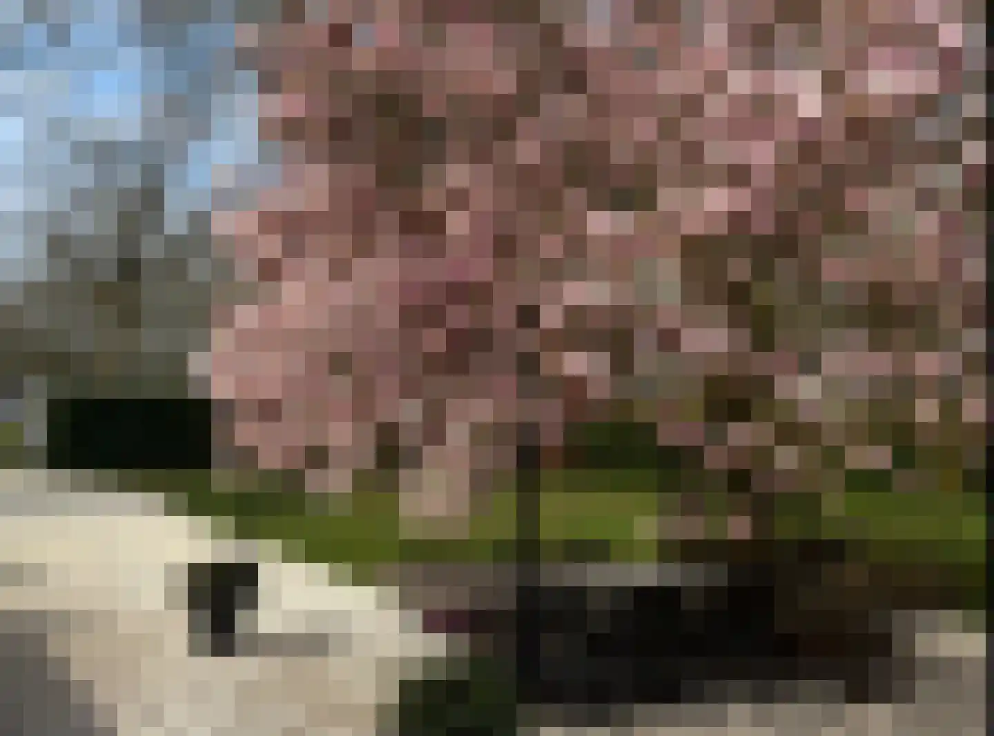 Oude Rielseweg 1 Tilburg thumbnail 77