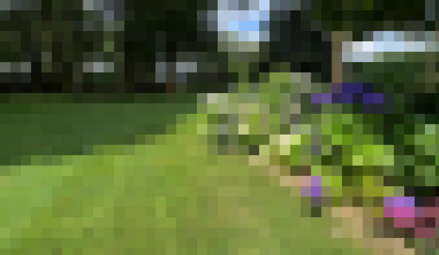 Oude Rielseweg 1 Tilburg thumbnail 80