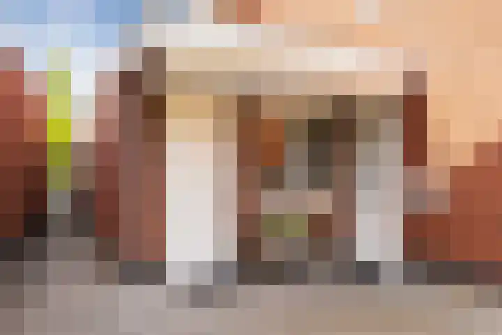 Oude Rietkamp 17 Borne thumbnail 10