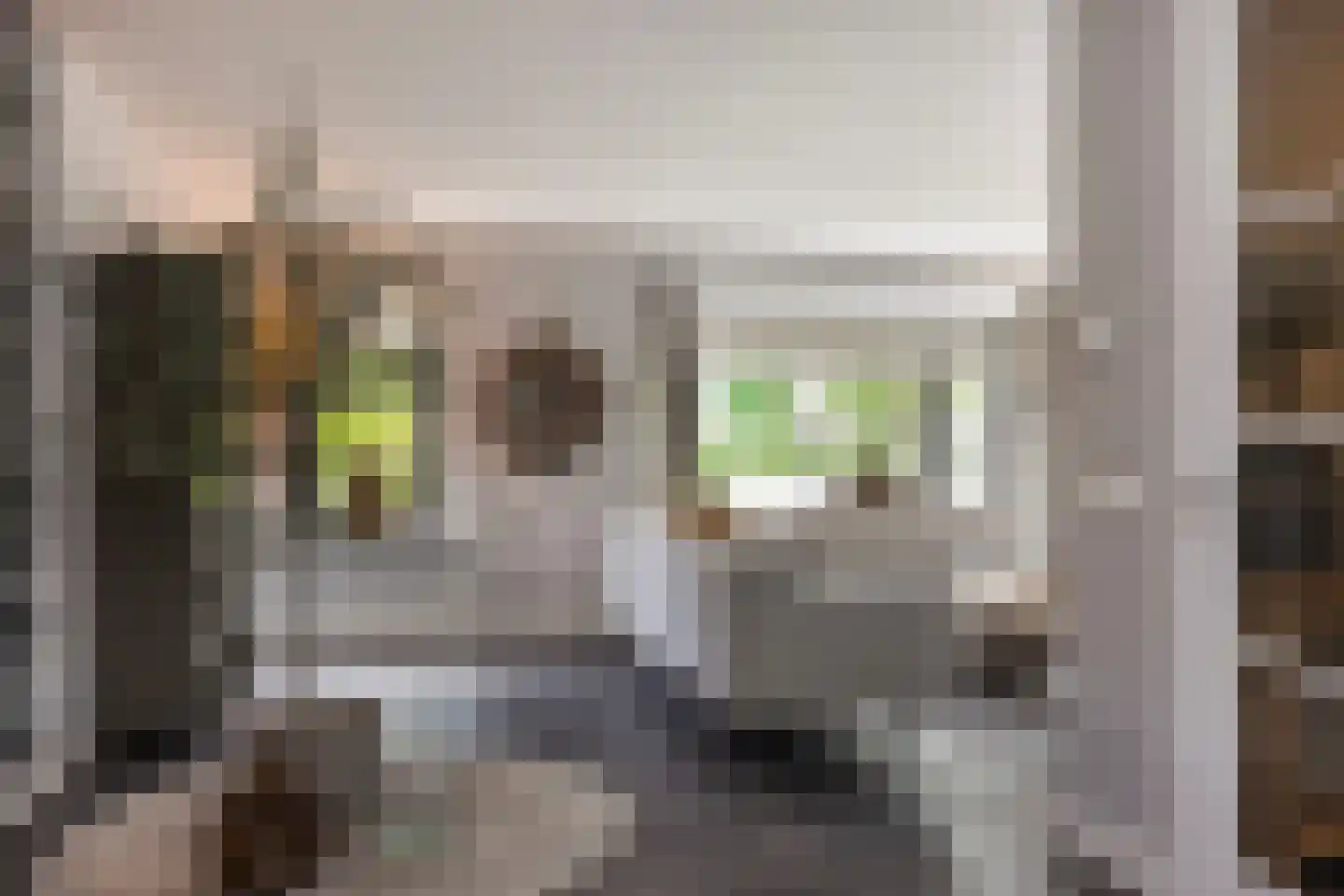 Oude Rietkamp 17 Borne thumbnail 12