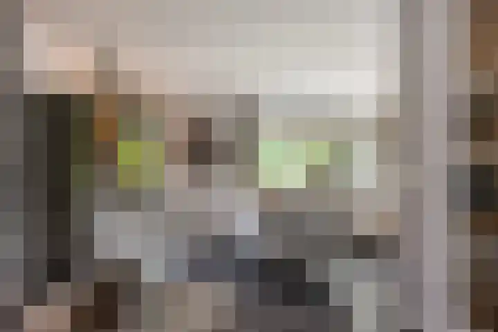 Oude Rietkamp 17 Borne thumbnail 12