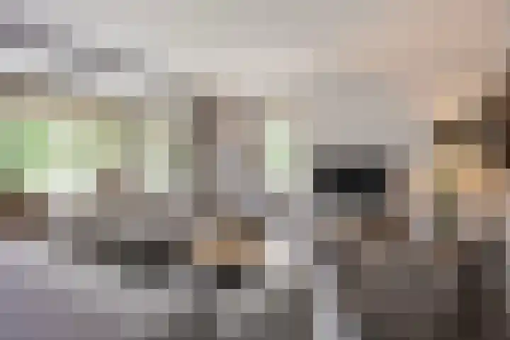 Oude Rietkamp 17 Borne thumbnail 13