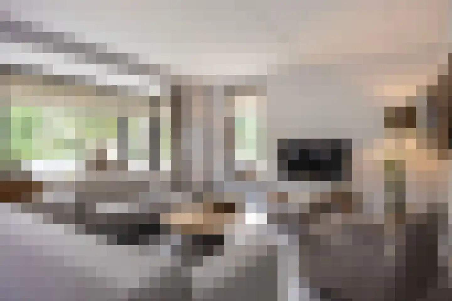 Oude Rietkamp 17 Borne thumbnail 13