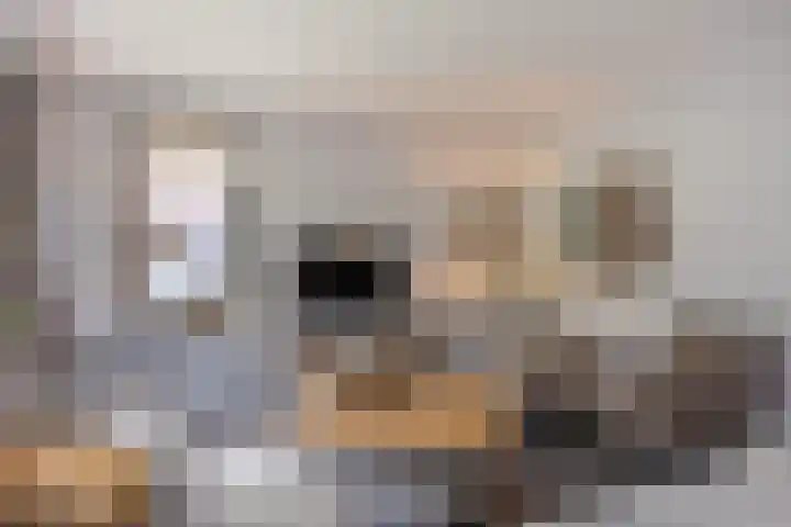 Oude Rietkamp 17 Borne thumbnail 14
