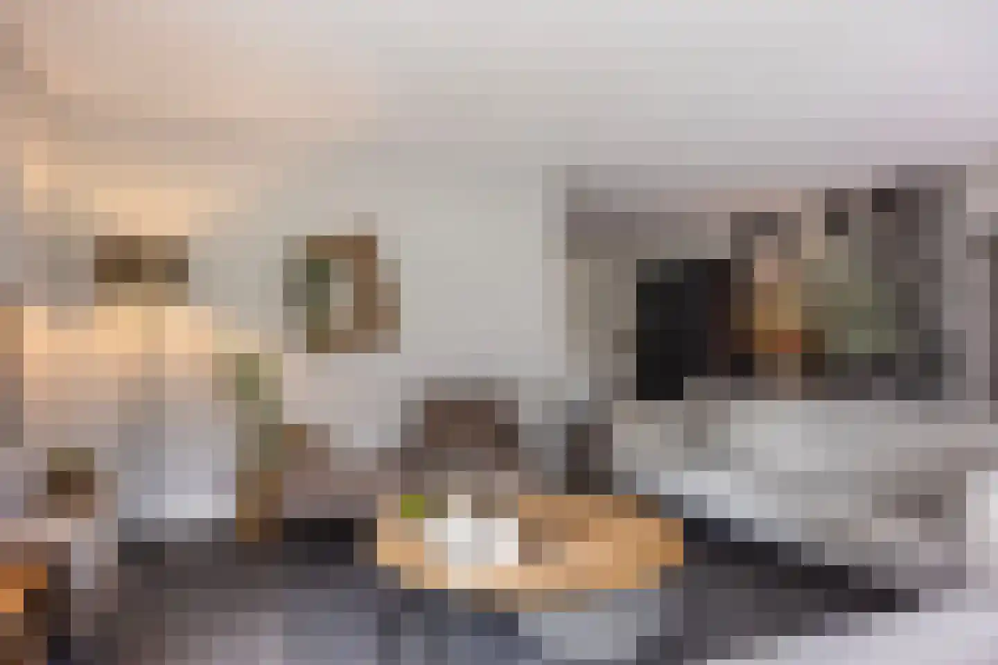 Oude Rietkamp 17 Borne thumbnail 15