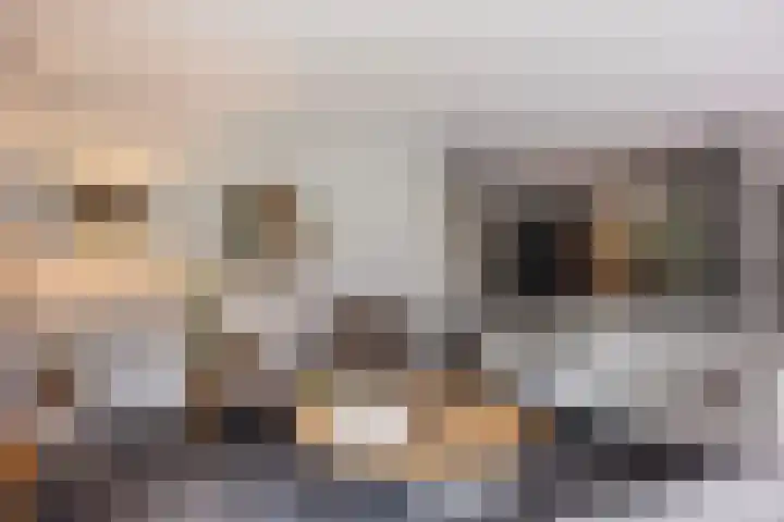 Oude Rietkamp 17 Borne thumbnail 15