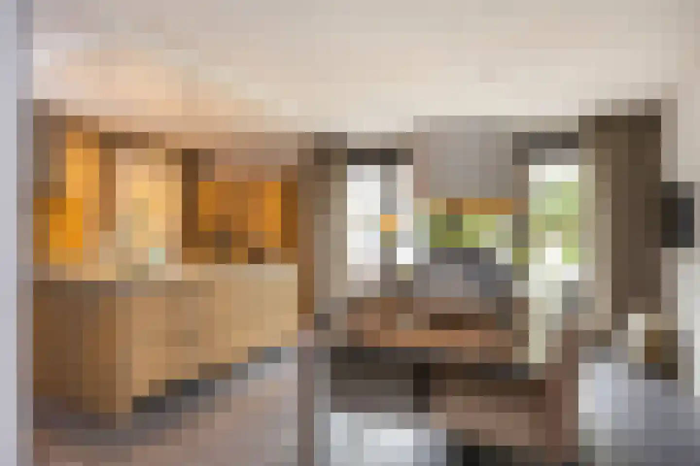 Oude Rietkamp 17 Borne thumbnail 16