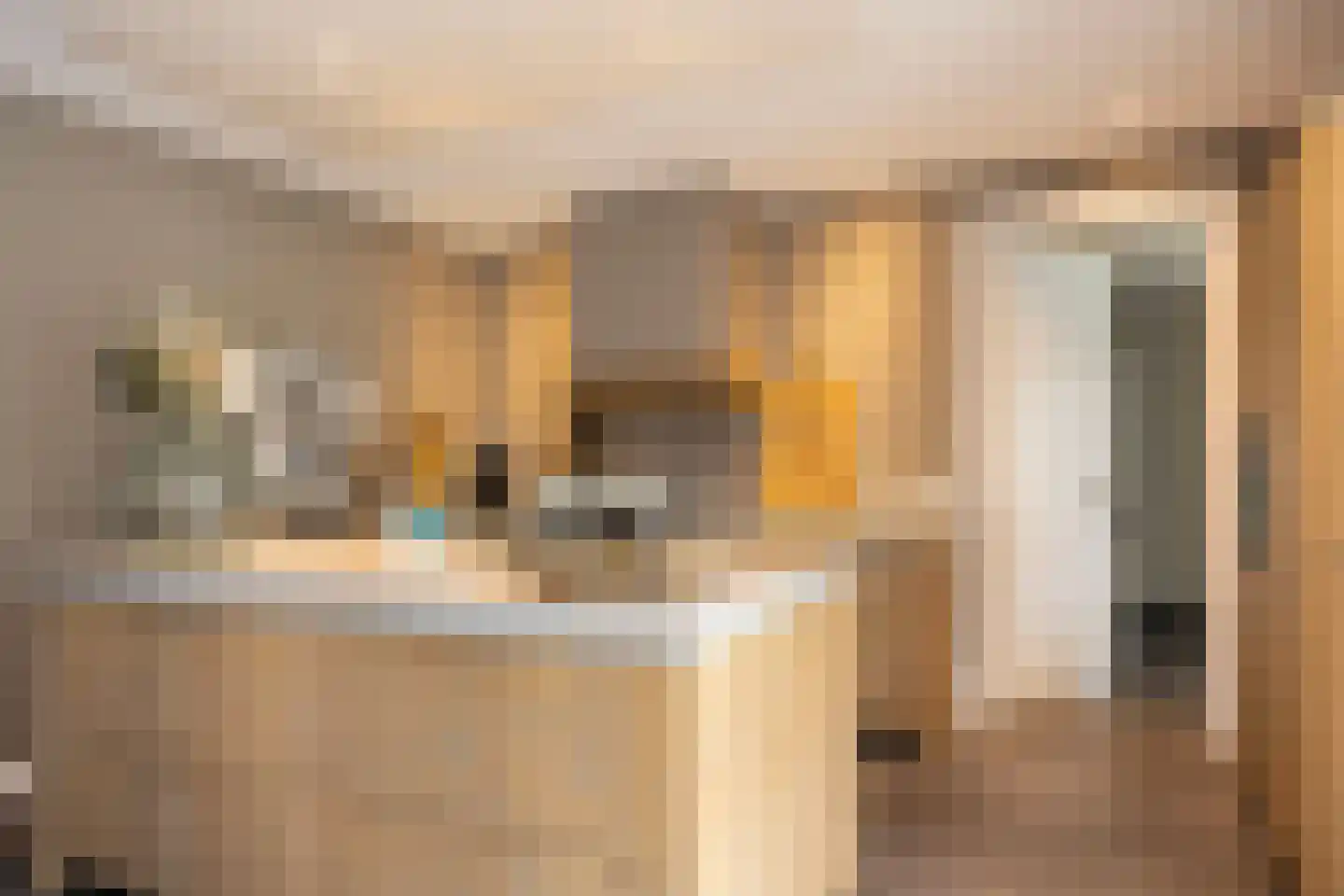 Oude Rietkamp 17 Borne thumbnail 18