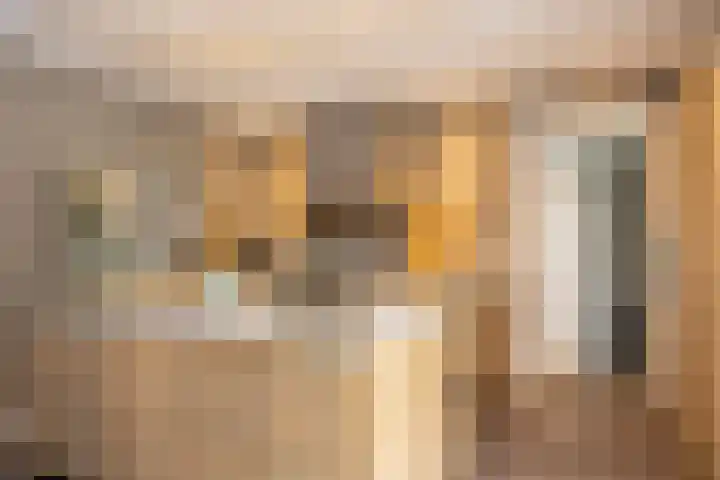 Oude Rietkamp 17 Borne thumbnail 18