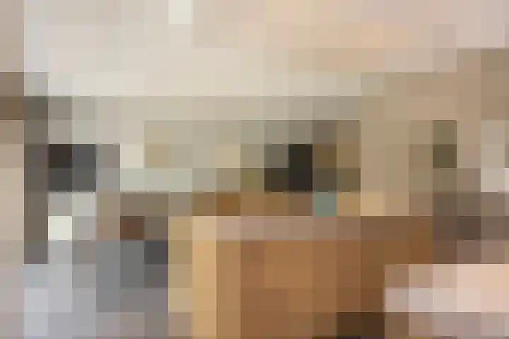 Oude Rietkamp 17 Borne thumbnail 20