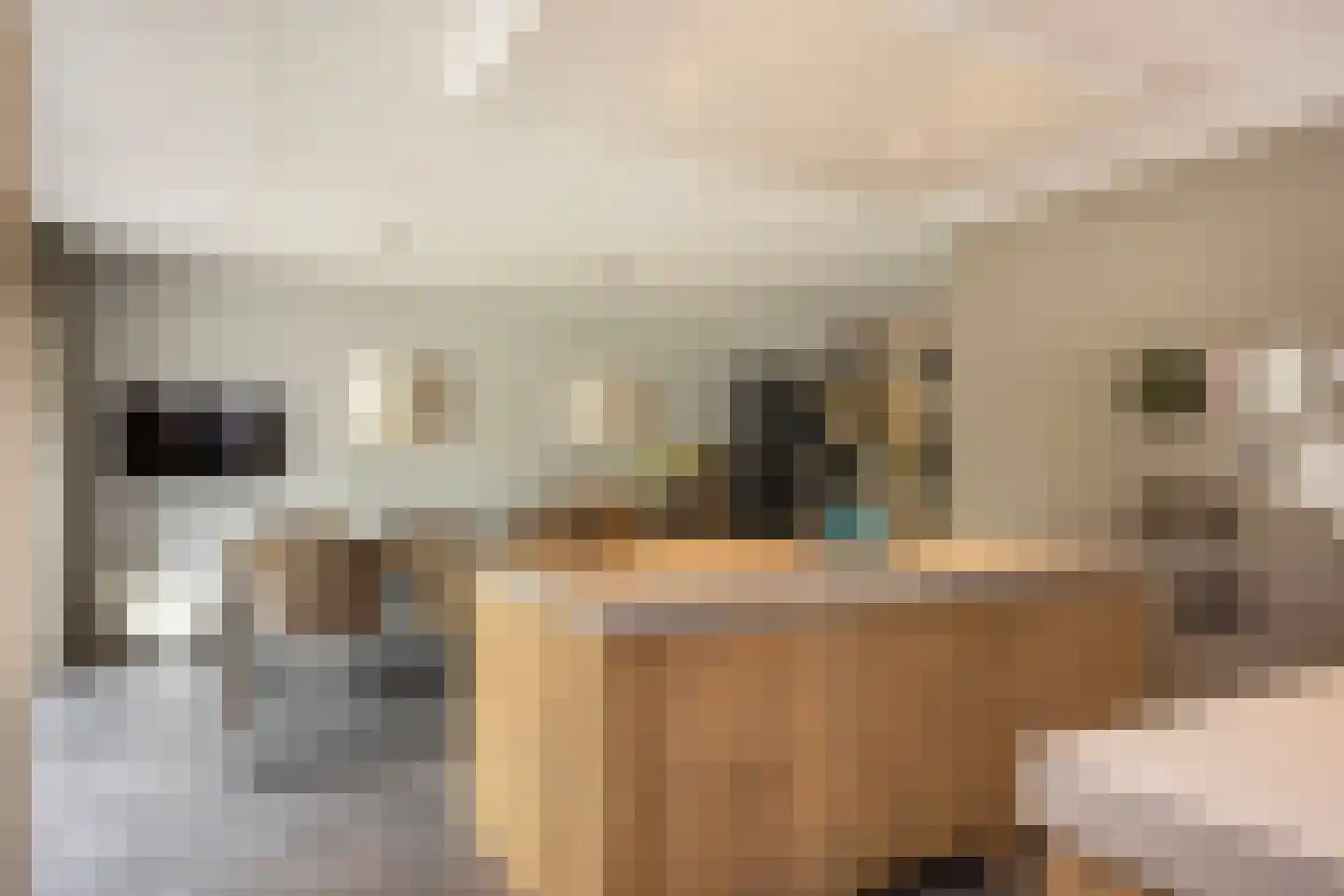 Oude Rietkamp 17 Borne thumbnail 20