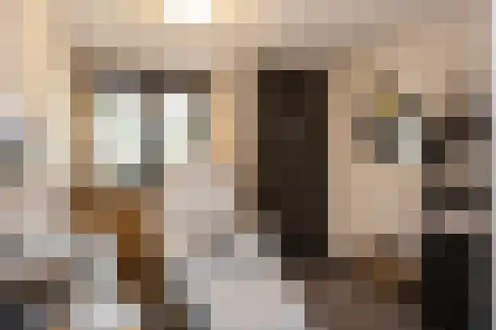 Oude Rietkamp 17 Borne thumbnail 21