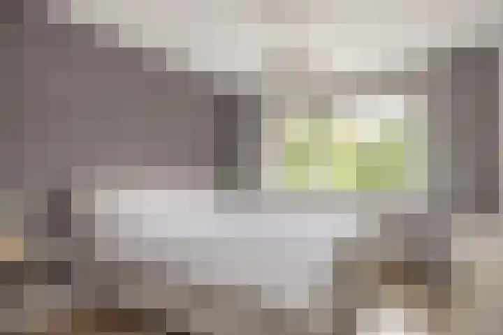 Oude Rietkamp 17 Borne thumbnail 24