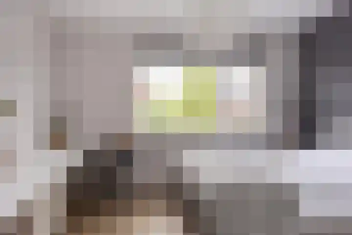 Oude Rietkamp 17 Borne thumbnail 26