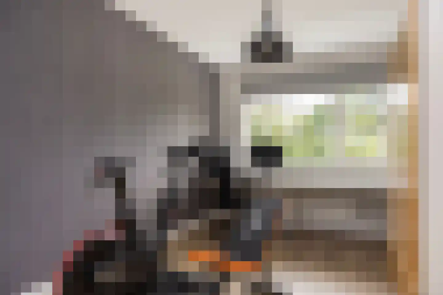 Oude Rietkamp 17 Borne thumbnail 27