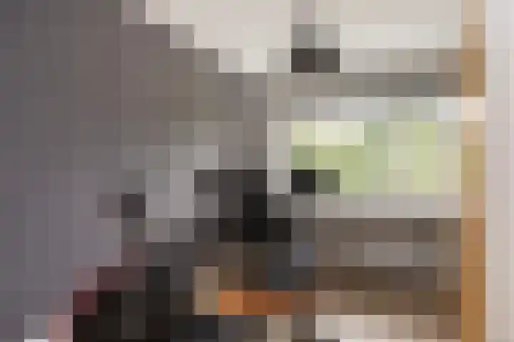 Oude Rietkamp 17 Borne thumbnail 27