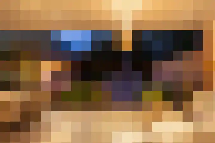 Oude Rietkamp 17 Borne thumbnail 32